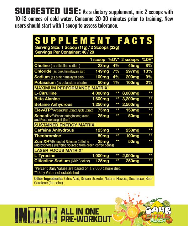 Intake: All-in-One Pre-Workout